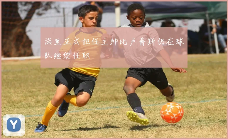 诺里正式担任主帅比卢普斯仍在球队继续任职